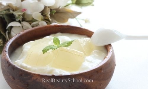 How to use Aloe Vera for Hair Growth (a Helpful guide + 7 DIY) - Real  Beauty School
