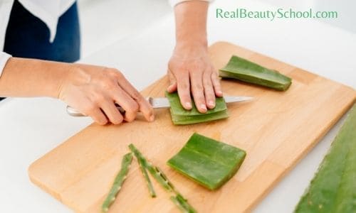 how to use aloe vera for hair growth - Aloe vera benefits for hair - Aleo vera hair masks DIY - homemade Aloe vera gel 