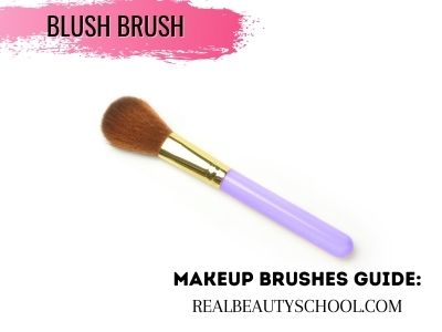 list of makeup brushes for beginners and their uses