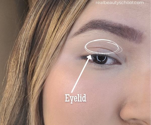 Eye makeup terminology 